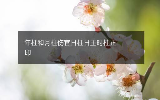 年柱和月柱伤官日柱日主时柱正印