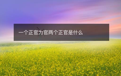 一个正官为官两个正官是什么
