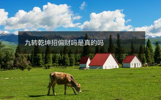 九转乾坤招偏财吗是真的吗