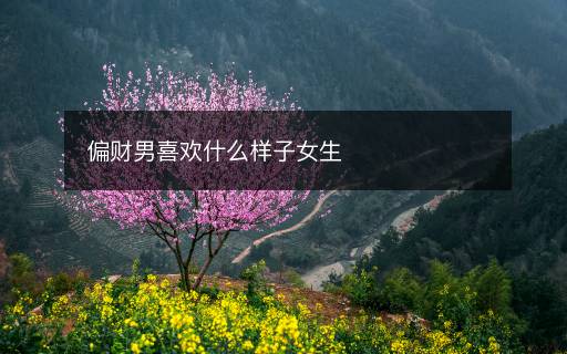 偏财男喜欢什么样子女生