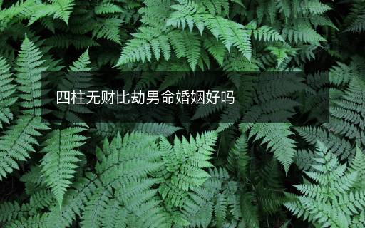 四柱无财比劫男命婚姻好吗