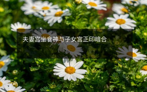 夫妻宫坐食神与子女宫正印暗合