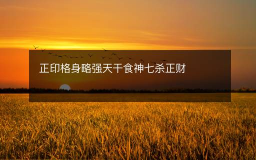 正印格身略强天干食神七杀正财