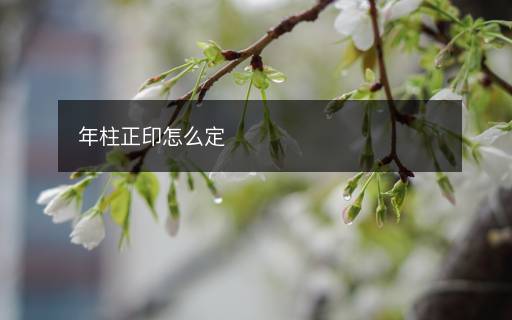 年柱正印怎么定