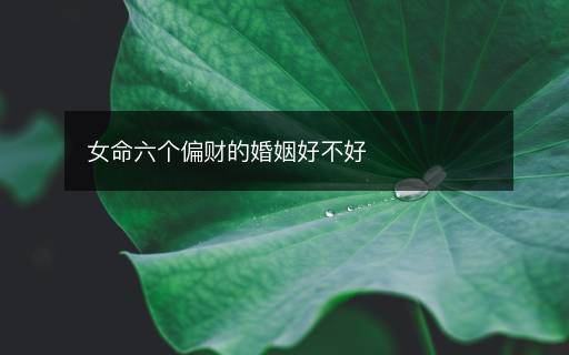 女命六个偏财的婚姻好不好