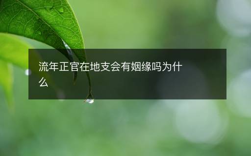 流年正官在地支会有姻缘吗为什么 流年正官在地支会有姻缘吗为什么