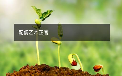 配偶乙木正官