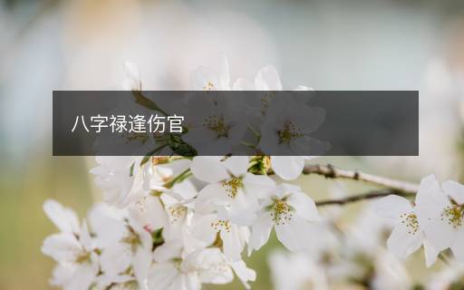 八字禄逢伤官