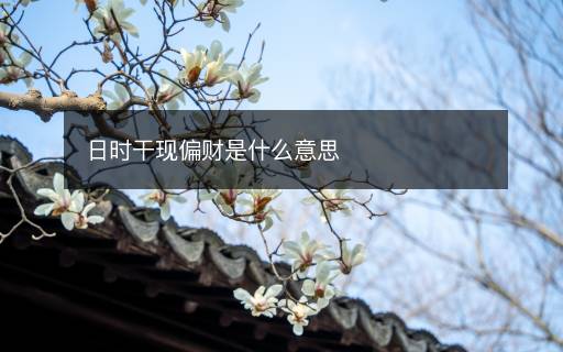 日时干现偏财是什么意思