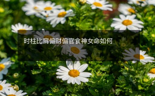 时柱比肩偏财偏官食神女命如何