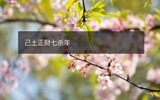 己土正财七杀年