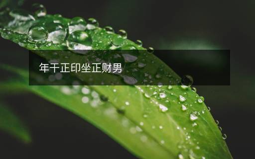 年干正印坐正财男