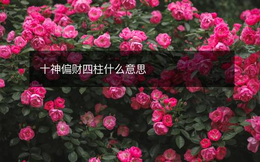十神偏财四柱什么意思