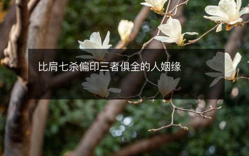 比肩七杀偏印三者俱全的人姻缘