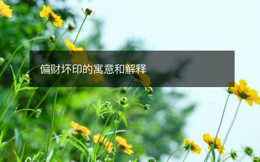 偏财坏印的寓意和解释 偏财坏印的寓意和解释