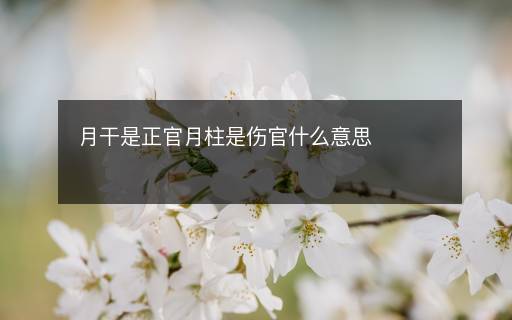 月干是正官月柱是伤官什么意思