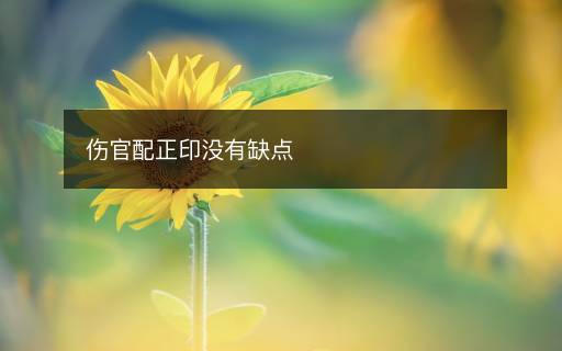 伤官配正印没有缺点