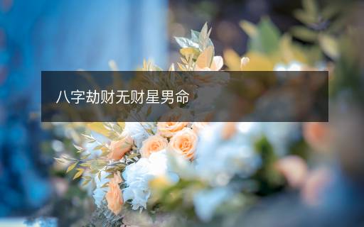 八字劫财无财星男命