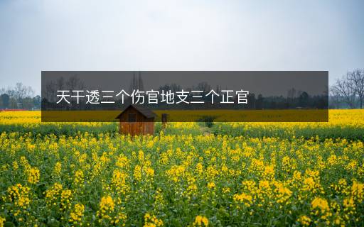 天干透三个伤官地支三个正官