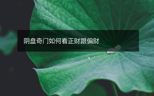 阴盘奇门如何看正财跟偏财
