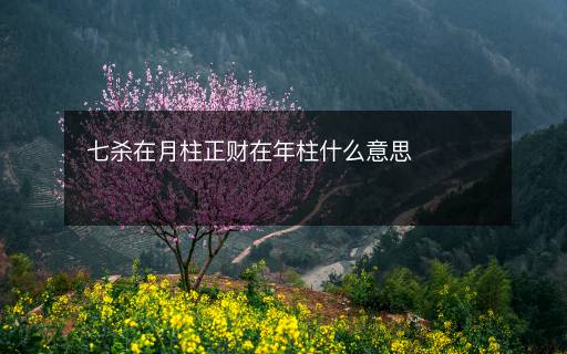 七杀在月柱正财在年柱什么意思