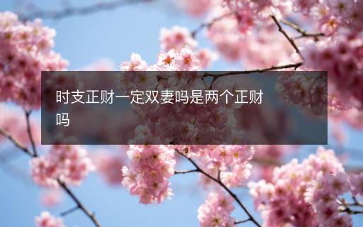 时支正财一定双妻吗是两个正财吗
