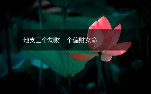 地支三个劫财一个偏财女命