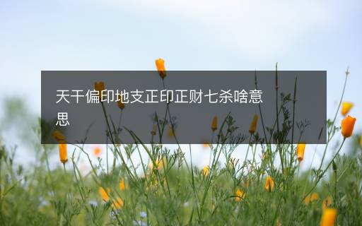 天干偏印地支正印正财七杀啥意思
