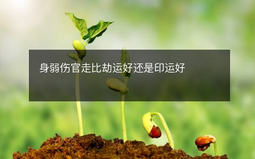 身弱伤官走比劫运好还是印运好