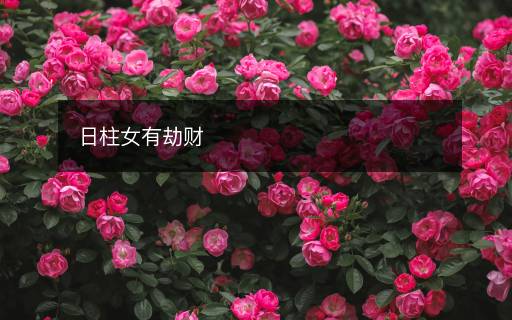 日柱女有劫财