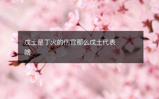 戊土是丁火的伤官那么戊土代表啥