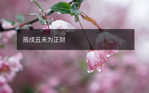 辰戌丑未为正财