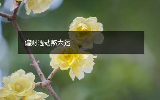 偏财遇劫煞大运