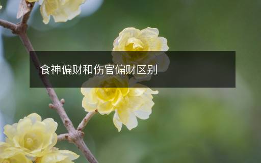 食神偏财和伤官偏财区别