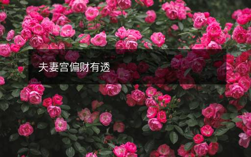 夫妻宫偏财有透