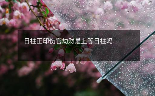 日柱正印伤官劫财是上等日柱吗