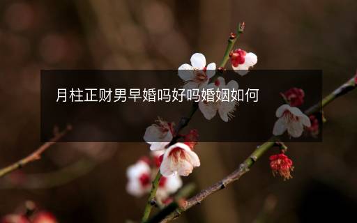 月柱正财男早婚吗好吗婚姻如何