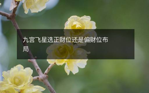 九宫飞星选正财位还是偏财位布局