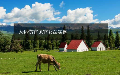 大运伤官见官女命实例 大运伤官见官女命实例