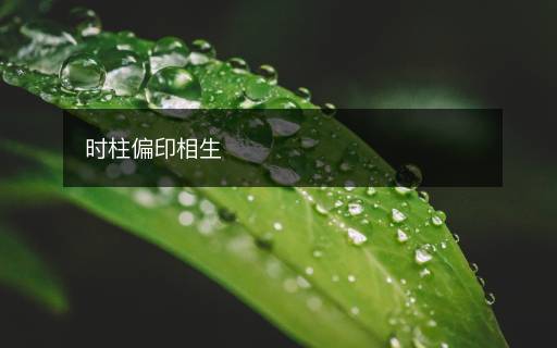 时柱偏印相生