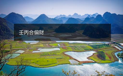 壬丙合偏财