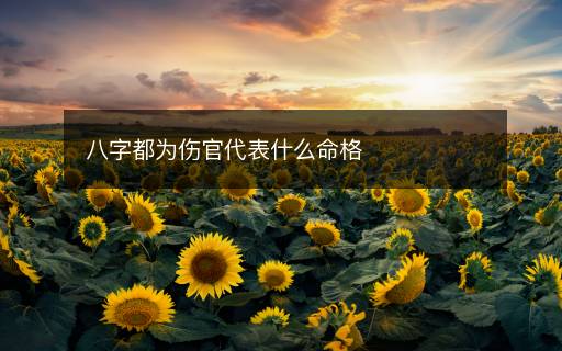 八字都为伤官代表什么命格