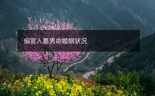 偏官入墓男命婚姻状况