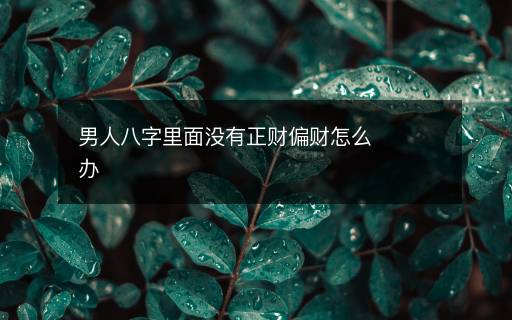男人八字里面没有正财偏财怎么办