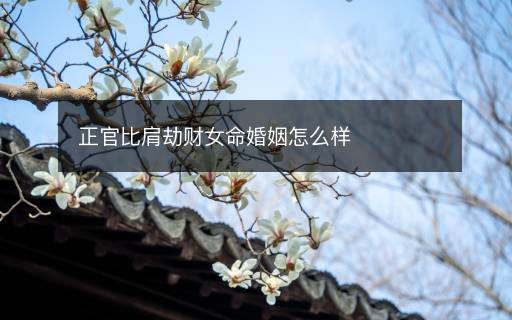 正官比肩劫财女命婚姻怎么样