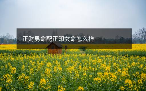 正财男命配正印女命怎么样