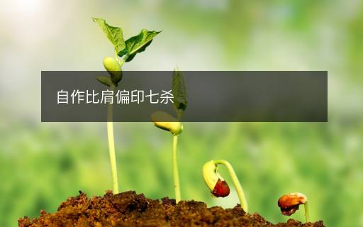 自作比肩偏印七杀 自作比肩偏印七杀