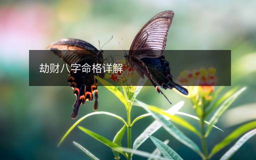 劫财八字命格详解 劫财八字命格详解