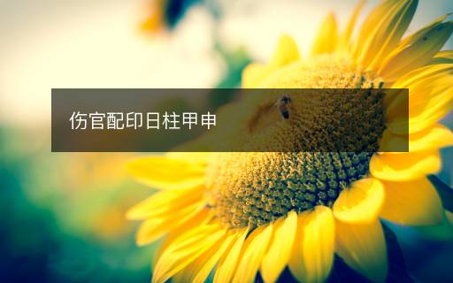 伤官配印日柱甲申