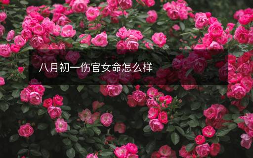 八月初一伤官女命怎么样